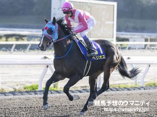 【サマーチャンピオン】JRA出走予定馬（8/24）