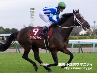 １１日美浦でディバインフォースの半妹など１２頭の２歳馬がゲート合格