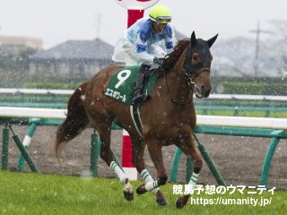 【福島牝馬Ｓ】１番人気のエスポワールは１２着　池添謙「物見しながら鳴いていた」