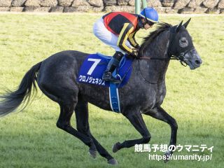 ２日栗東でクロノジェネシスの半妹など１１頭の３歳馬がゲート合格