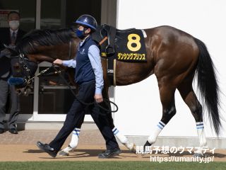 ２１日美浦で１３頭の２歳馬がゲート合格