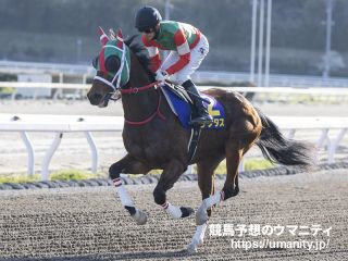 【テレ玉杯オーバルスプリント】JRA出走予定馬（9/12）