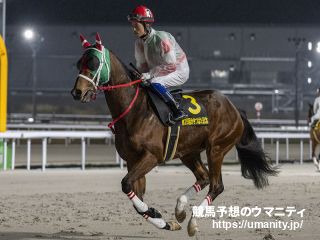 ９日札幌競馬場で３頭の２歳馬がゲート合格