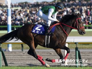 3日美浦でエヒトの半妹など22頭の2歳馬がゲート合格