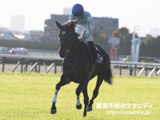 6日栗東でデアリングタクトの半妹など49頭の2歳馬がゲート合格