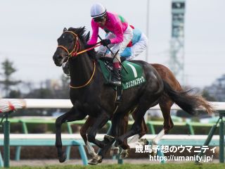 ５日美浦でクリスタルブラックの半妹など１３頭の２歳馬がゲート合格