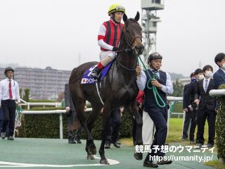 ３日美浦で５頭の３歳馬がゲート合格