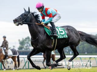 ２日美浦でアブレイズの全弟など３０頭の２歳馬がゲート合格