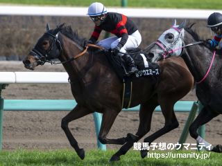 【今日の注目新馬】プチフレーシュは新馬向きの気性／東京５Ｒ