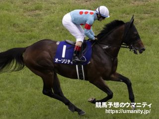 ２６日美浦でオーソリティの半弟など２７頭の２歳馬がゲート合格