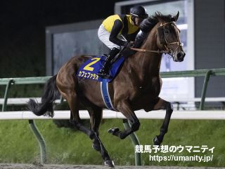 【2歳未勝利・東京1R】カフェファラオの全弟ルクソールカフェ、2歳レコードで初勝利！