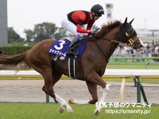 ２２日栗東でジャックドールの半妹など１２頭の２歳馬がゲート合格