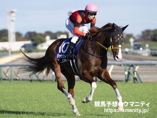 22日栗東でジャックドールの全妹など22頭の2歳馬がゲート合格