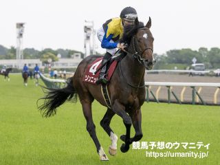 【青函Ｓ】武豊騎手のゾンニッヒが鮮やかに差し切ってオープン初勝利！