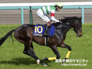 【今日の注目新馬】アルジャヒリ伸び上々　陣営は「前向きな性格」と好感触／阪神５Ｒ