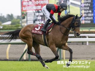 １４日栗東でスノーフェアリーの半弟など１６頭の２歳馬がゲート合格