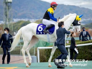 ２１日栗東でソダシの半弟など１６頭の２歳馬がゲート合格