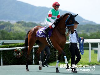 １５日栗東でスルーセブンシーズの半妹など１３頭の２歳馬がゲート合格