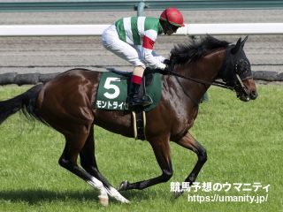 ６月２、３、８、９日函館競馬場で１６頭の２歳馬がゲート合格