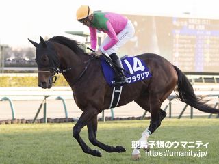 １９日栗東でプラダリアの半妹など１１頭の３歳馬がゲート合格