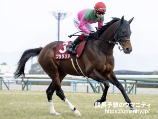 20日栗東でプラダリアの半弟など27頭の2歳馬がゲート合格