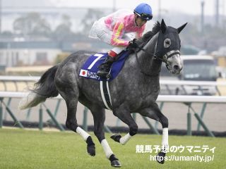 11日美浦でテイエムスパーダの半妹など21頭の2歳馬がゲート合格