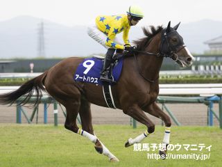 15日栗東でアートハウスの半妹など24頭の2歳馬がゲート合格