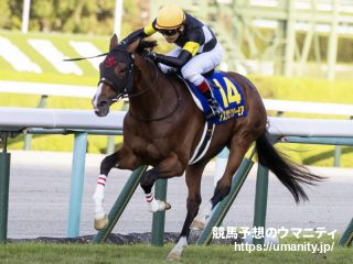 26日栗東でアスクビクターモアの半妹など27頭の2歳馬がゲート合格