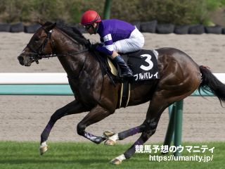 【２歳次走報】プルパレイはデイリー杯２歳Ｓを予定