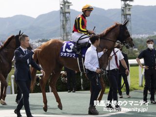 １３日栗東でジオグリフの半妹など１２頭の２歳馬がゲート合格