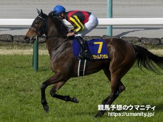 【今日の注目新馬】阪神４Ｒ　アルティジャナーレは活躍馬が続出の一族