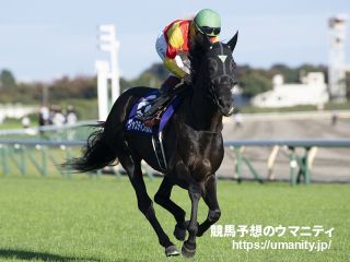 ２７日美浦でジャスティンパレスの半弟など２８頭の２歳馬がゲート合格