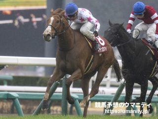 １５日美浦でマテンロウスカイの半妹など２３頭の２歳馬がゲート合格