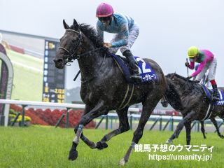 29日美浦でブローザホーンの半妹など37頭の2歳馬がゲート合格