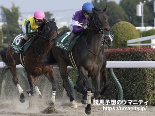 【武蔵野Ｓ2024】出走予定馬最速チェック　コース巧者が集結! エンペラーワケアがダートマイルに初挑戦