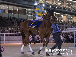 【今日の注目新馬】砂向き血統のヴァイオパイシーズ　半兄にデルマソトガケ／中山6R