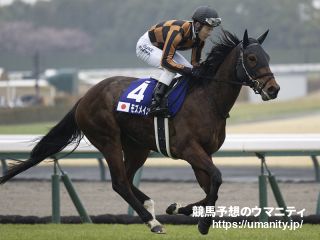 5日栗東でモズメイメイの半妹など38頭の2歳馬がゲート合格