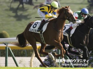 ２０日美浦でショウナンアデラの娘など６頭の３歳馬がゲート合格