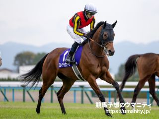 【府中牝馬Ｓ2024ほか】次走激アツ君メモ　中長距離最強牝馬の称号に向けブレイディヴェーグの次走に注目!