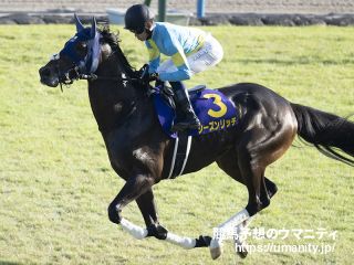 １日栗東でシーズンリッチの半弟など１１頭の２歳馬がゲート合格