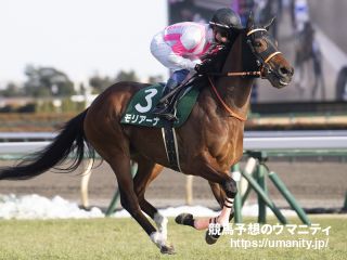 【今日の注目新馬】モデルハントはパワーとしなやかさを兼備／中山３Ｒ