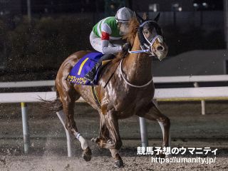 ２５日美浦でセラフィックコールの半妹など１７頭の２歳馬がゲート合格