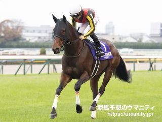 ２９日栗東でリバティアイランドの半弟など１０頭の２歳馬がゲート合格