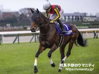 ６日栗東でリバティアイランドの半妹など２４頭の２歳馬がゲート合格