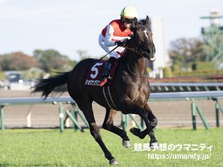 ３０日栗東でショウナンラプンタの半弟など１９頭の２歳馬がゲート合格