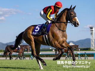 【ジャパンカップ2024】逃げ馬の作る展開から推理　超本命党レースは、逃げ不在でも実力決着なのか