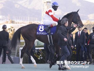 １１日美浦でダノンマッキンリーの半妹など５頭の２歳馬がゲート合格