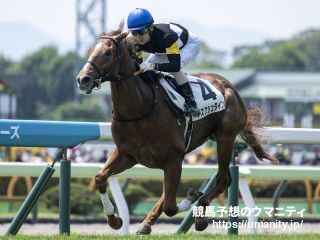 【コスモス賞】アスクシュタイン７馬身差圧勝！　北村友一騎手「ここでは力が違ったと思います」