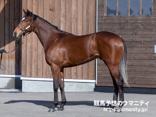 6日美浦で42頭の2歳馬がゲート合格