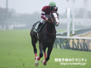 【京王杯２歳Ｓ2024】逃げ馬の作る展開から推理　距離延長ローテ勢の数を一つのポイントに、狙うはあの馬